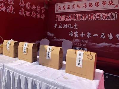 第一书记携手乡村好物，长春网络助燃集体经济新活力